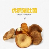 清丰县新鲜菌菇猪肚菇大杯伞大漏斗菌150g