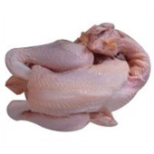 柴鸡鸡肉26元/斤