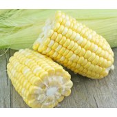 玉米营养健康美味颗粒饱满自种农家绿色有机
