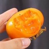 【高山脆柿】像吃苹果一样吃的脆甜柿子！皮薄肉厚，汁甜如蜜5斤装