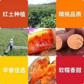 餐推荐【蜜薯】 蜜薯9.9/包五斤装 香甜无比