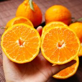 耙耙柑粑粑柑杷杷柑橘子桔子带箱15斤孕妇新鲜水果包邮