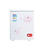 XINGX/星星 BD/BC-106E 冰柜家用冷柜迷你冷藏冷冻节能单温柜
